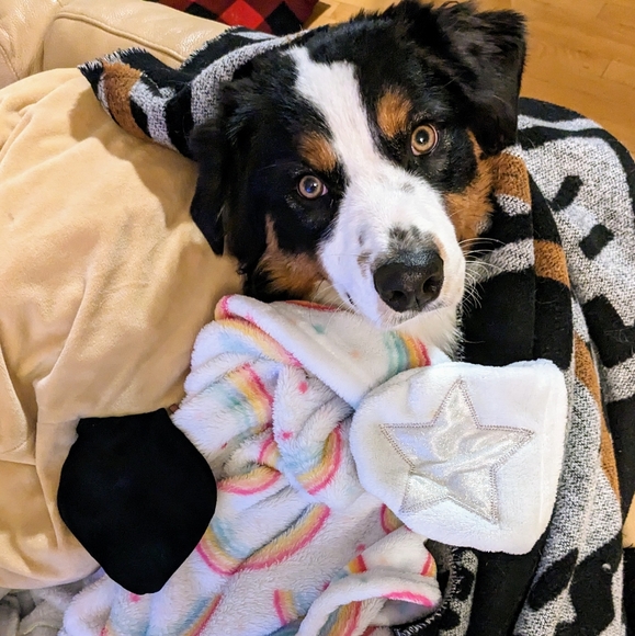 Meet your Posher, Caroline - Picture 1 of 1